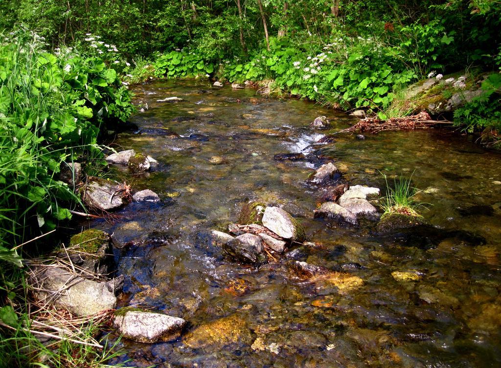 Penzion Adam Adamov (Moravia-Silesia) Ngoại thất bức ảnh